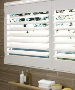 'Palm Beach' Polysatin